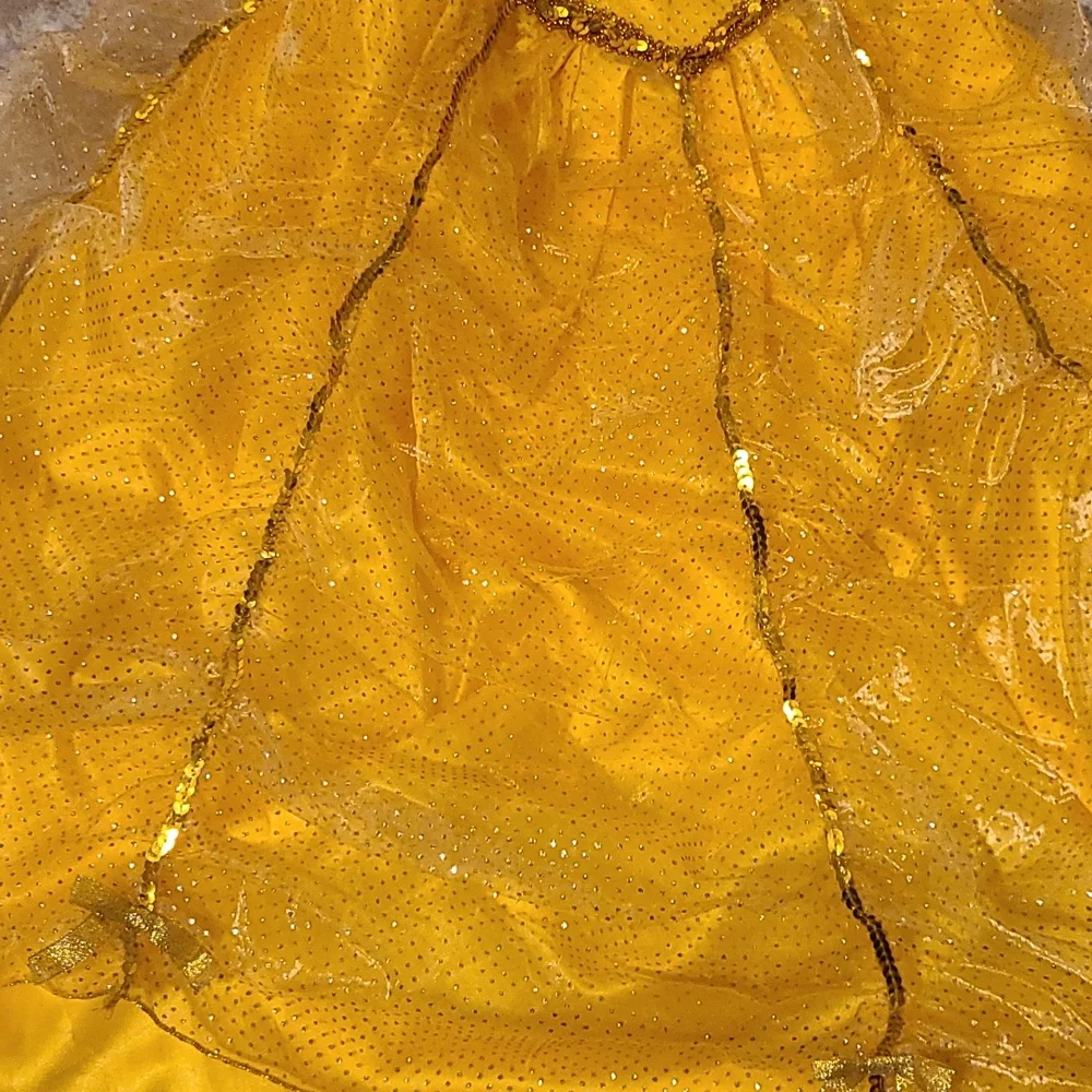 New like condition Belle costume